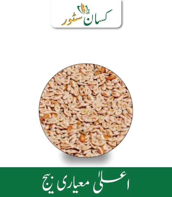 Ispagol Indian Seed Kisan Aarrth Price in Pakistan - Kissan Store