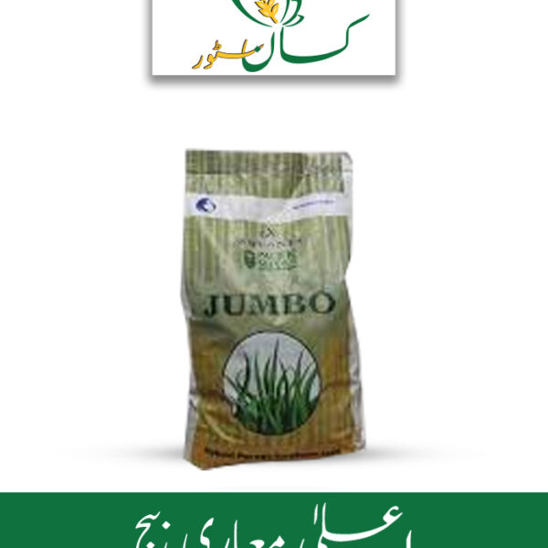 Jumbo ICI Advanta Hybrid Forage Sorghum Seed Price in Pakistan