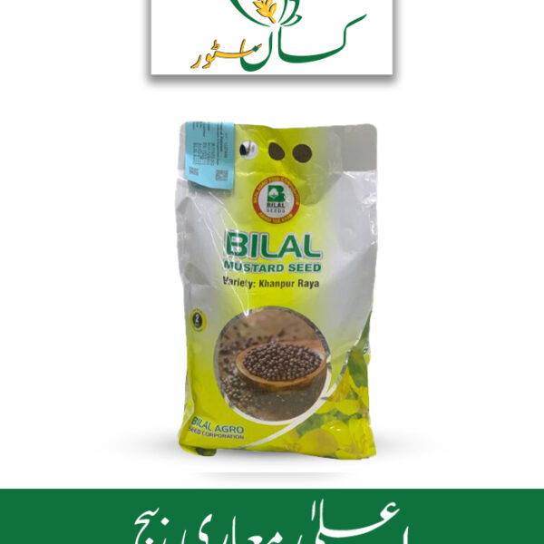 Khanpur Raya Mustard Seed Bilal Agro Seed Price in Pakistan