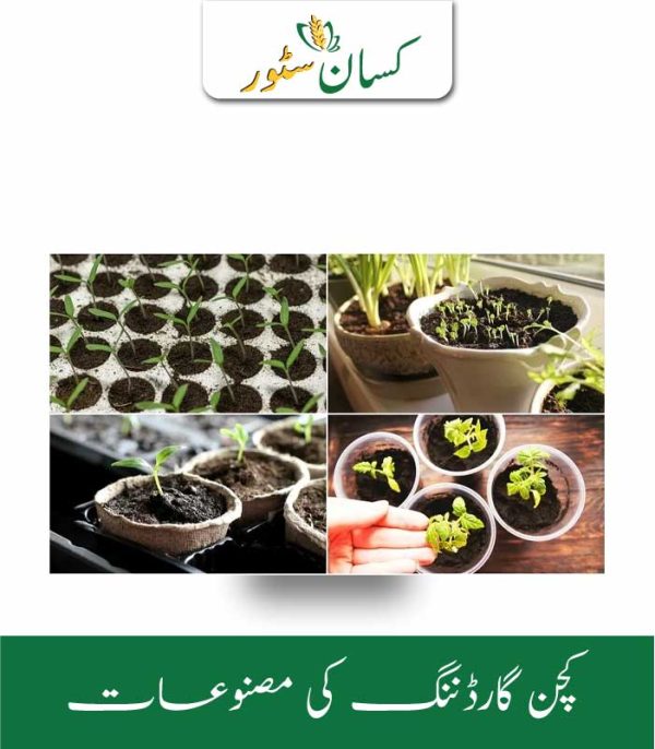 Kitchen Gardening Complete Kit With Seeds Tray And Peat Moss Perlite.webp - Kissan Store