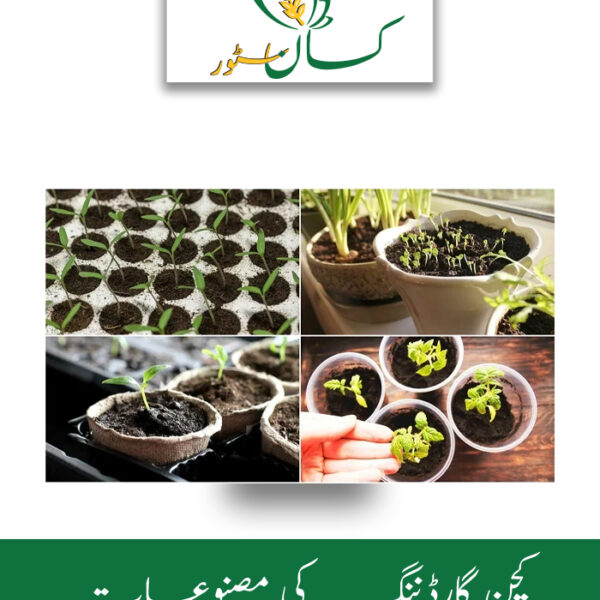 Kitchen Gardening Complete Kit With Seeds Tray Price in Pakistan