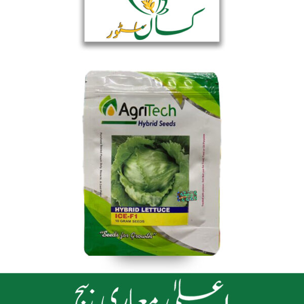 Lettuce ICE-F1 Salad Hybrid Seed Price in Pakistan