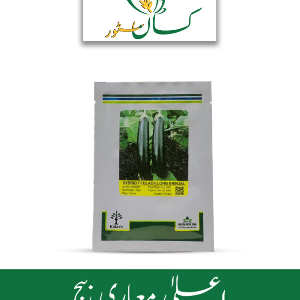 Long Brinjal F1 Hybrid Agro Seed Price in Pakistan