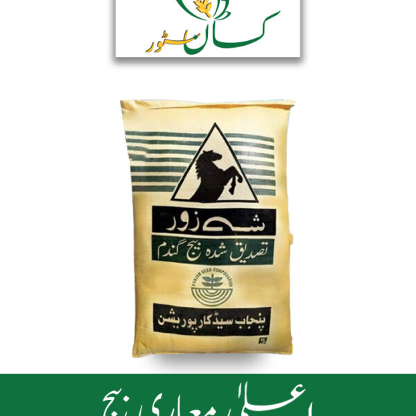 MH 21 Basic Wheat Seed Punjab Seed Corporation Price in Pakistan