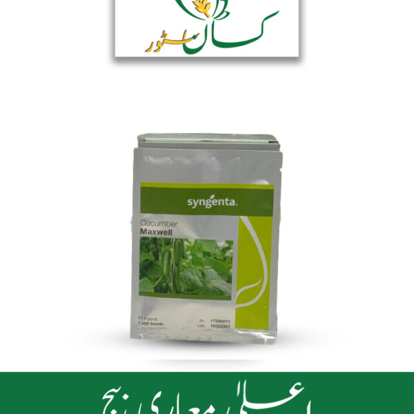 Maxwell Cucumber Hybrid F1 Syngenta Seed Price in Pakistan