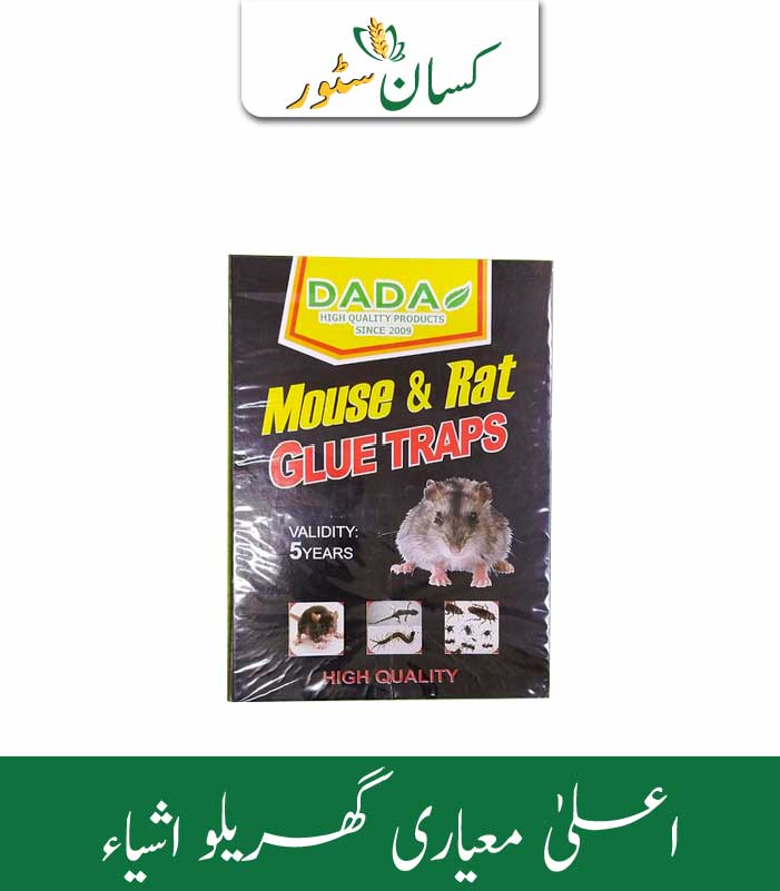 Mouse Glue Traps Global Products Price in Pakistan - Kissan Store Mouse Glue Traps Global Products Price in Pakistan - Kissan Store