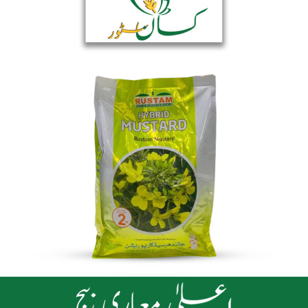 Mustard Hybrid Rustam Seed Price in Pakistan