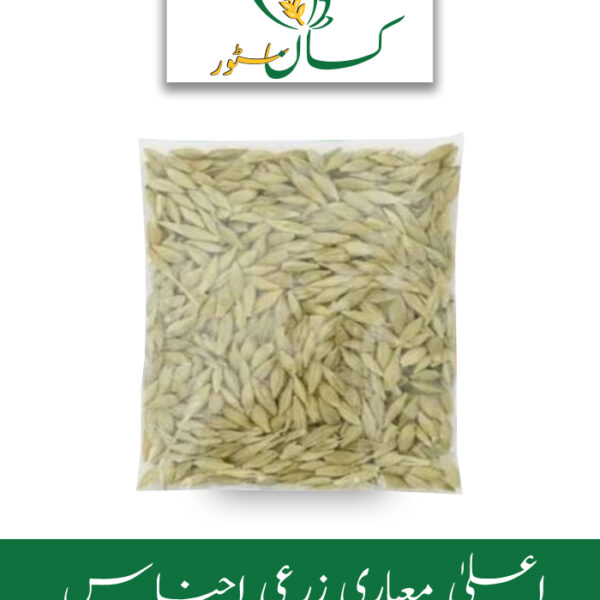 Natural Barley Jo Seeds 1kg Price in Pakistan