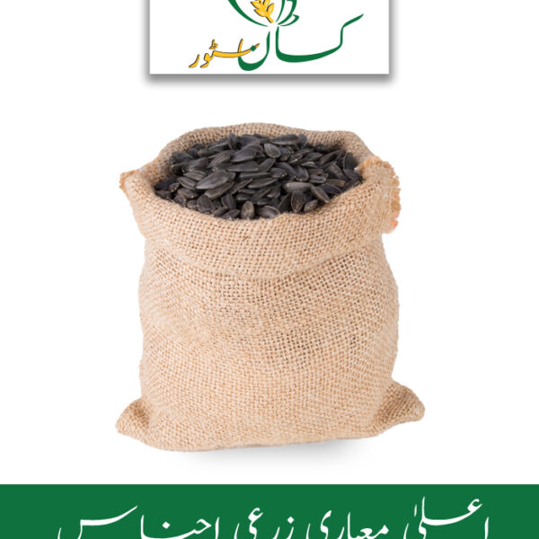 Natural Black Type Sunflower Seed 1kg Price in Pakistan