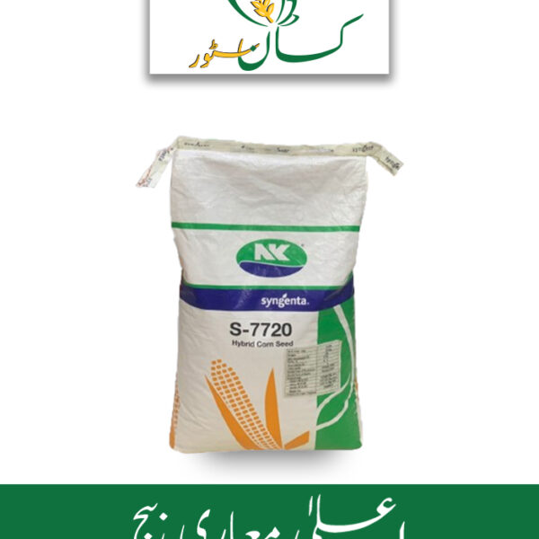 Nk 7720 Corn Seed Syngenta Seed Price in Pakistan