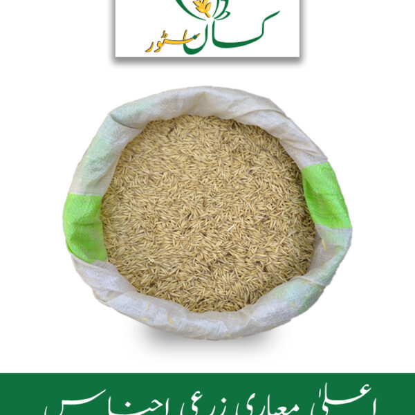 Oats Jodar 10kg Jo Jai Jawi Joddar Seed Price in Pakistan
