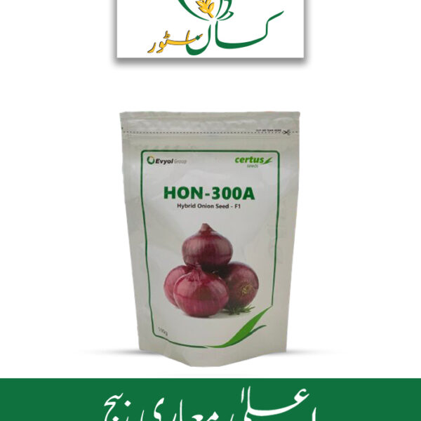 Onion Hybrid Hon - 300a Hybrid Onion Seed F1 Price in Pakistan