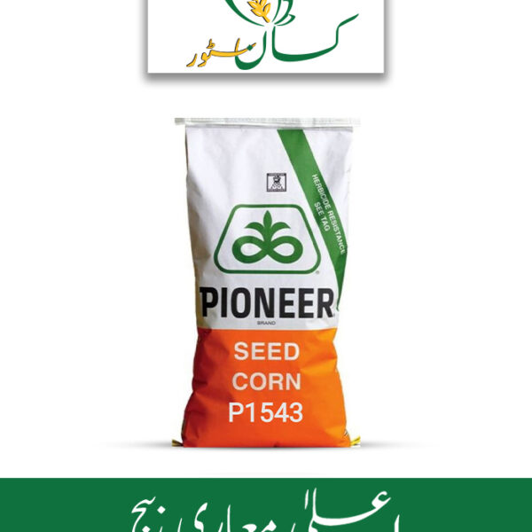 P1543 Hybrid Corn Seed Price in Pakistan