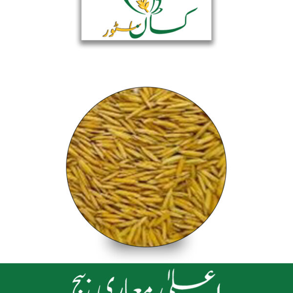 PB 1886 Rice Seed Kisan Aarrth Paddy Seed Price in Pakistan