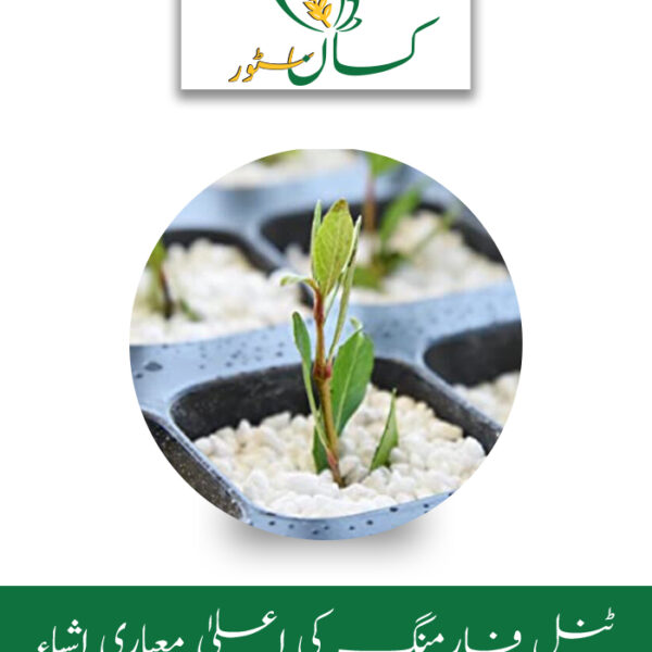 Perlite 500gm Imported Soil Conditioner Price in Pakistan