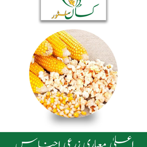 Popcorn Kernel Seed 500g Price in Pakistan