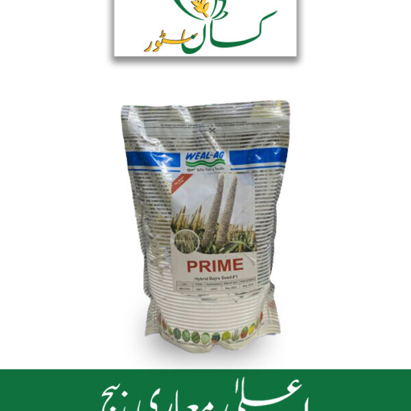 Prime Bajra Hybrid Bajra Seed Price in Pakistan