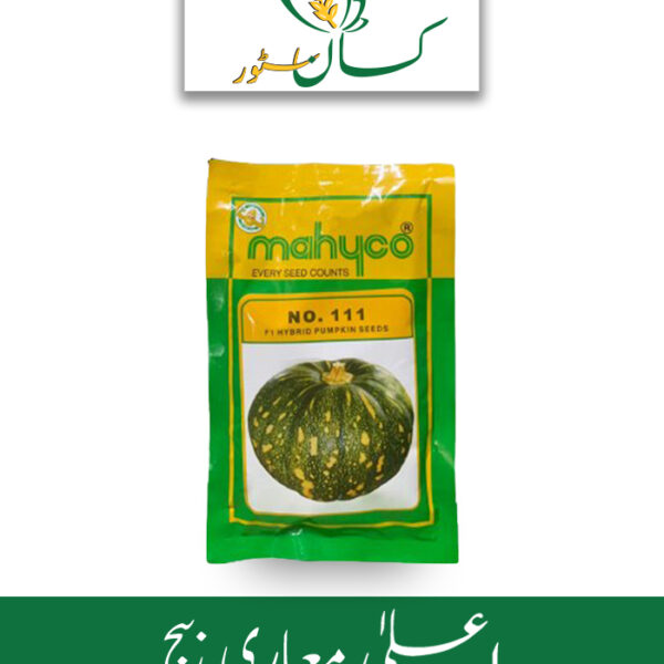 Pumpkin No. 111 Hybrid Seed F1 Price in Pakistan