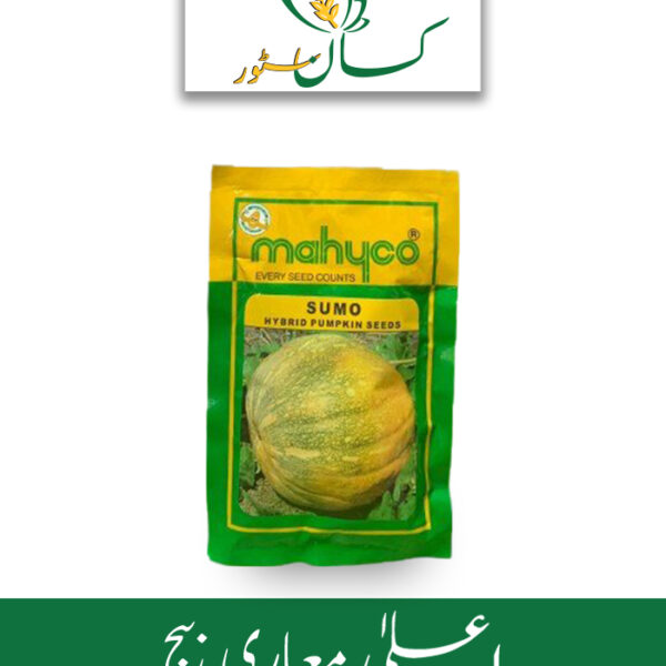 Pumpkin Sumo Hybrid Seed F1 Price in Pakistan