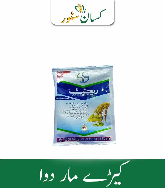 Regent Bayer Price in Pakistan