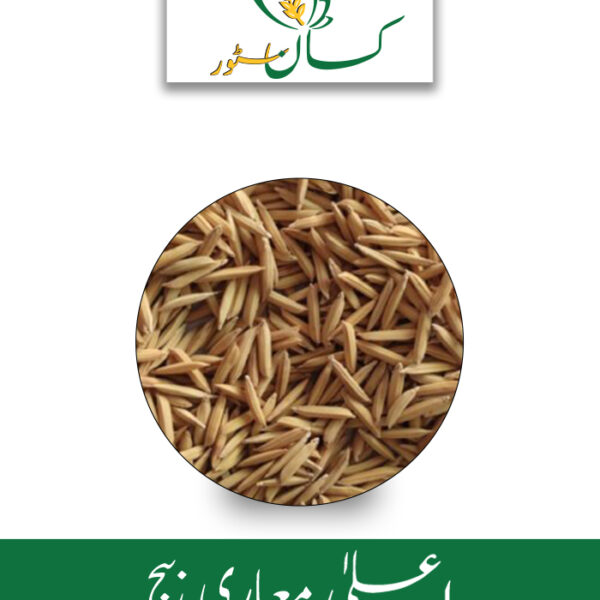 Rice Seed Pusa 1847 Basmati Kisan Aarrth Price in Pakistan