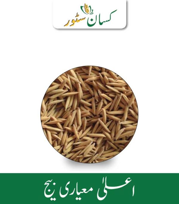 Rice Seed Pusa 1847 Basmati Kisan Aarrth Price in Pakistan