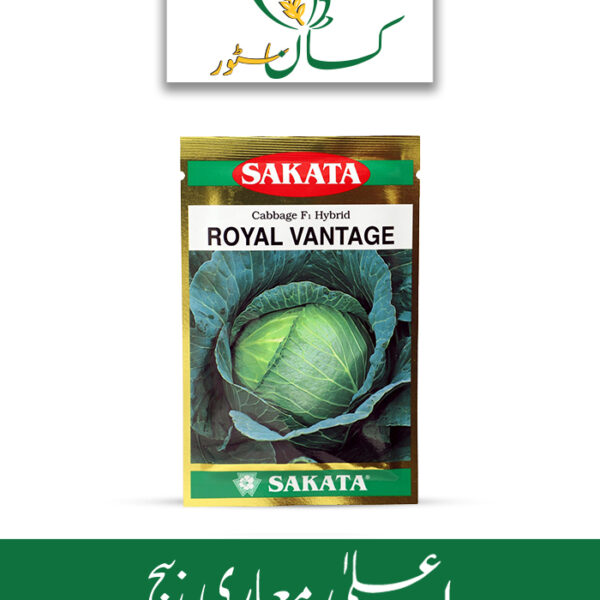 Royal Vantage Hybrid F1 Cabbage Sakata Seed Price in Pakistan