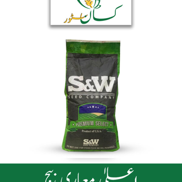 S & W Hybrid Jawar Forage Sorghum Hybrid Seed Price in Pakistan