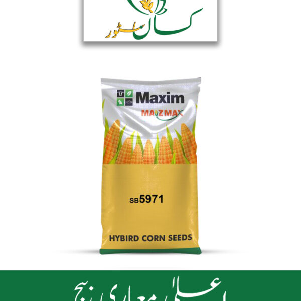 SB 5971 Maxim Single Cross Hybrid Grain Corn Seed Price in Pakistan