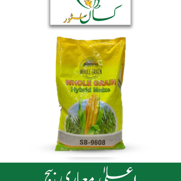 SB 9608 Hybrid Corn Seed Baharia Makai Price in Pakistan