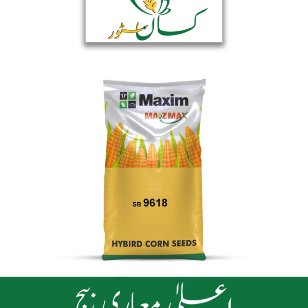 SB 9618 Maxim Single Cross Hybrid Grain Corn Seed Price in Pakistan