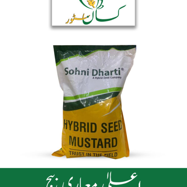 SD-3024 Mustard F1 Seed Price in Pakistan