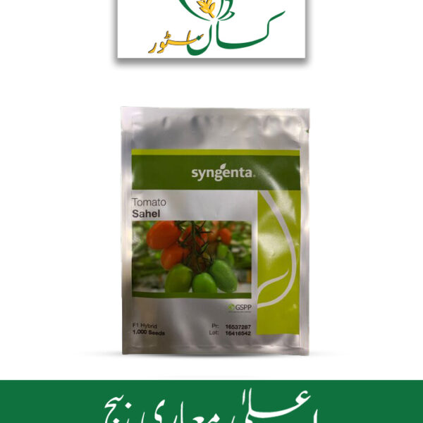 Sahel Tomato Hybrid F1 Syngenta Seed Price in Pakistan