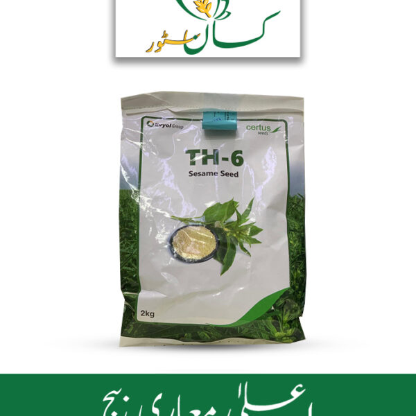 Sesame Seed Th-6 Seed Evyol Group Price in Pakistan