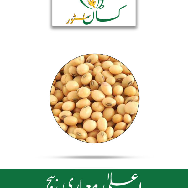 Soybean Seed Golden Beans Price in Pakistan
