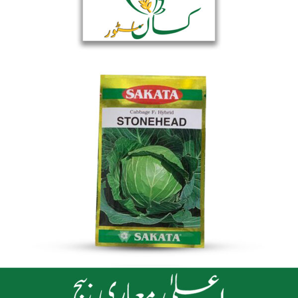 Stonehead Hybrid F1 Cabbage Sakata Seed Price in Pakistan