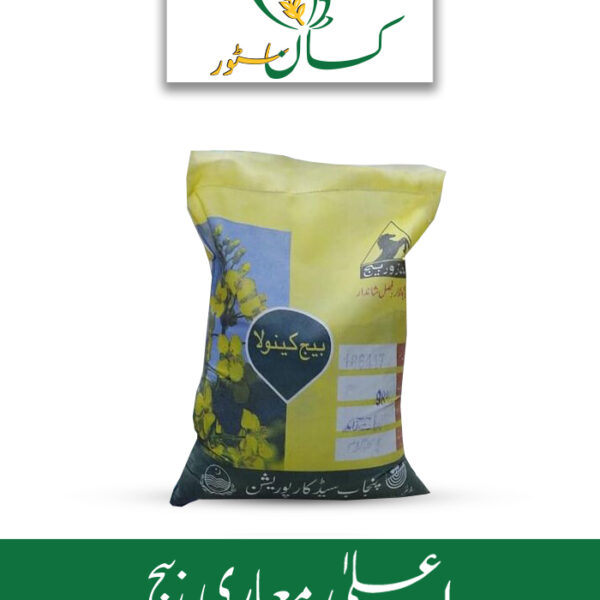 Super Canola Seed Punjab Seed Corporation Price in Pakistan