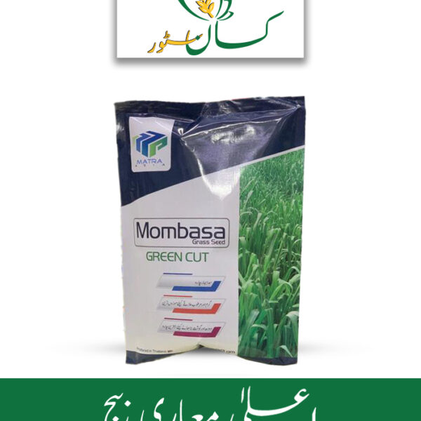 Super Mombasa F1 Hybrid Grass Seed Price in Pakistan