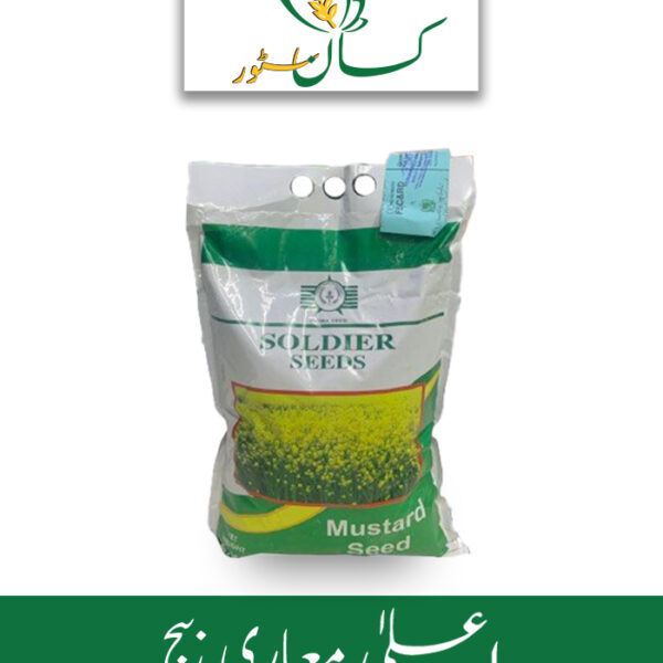 Super Raya Mustard Seed Price in Pakistan