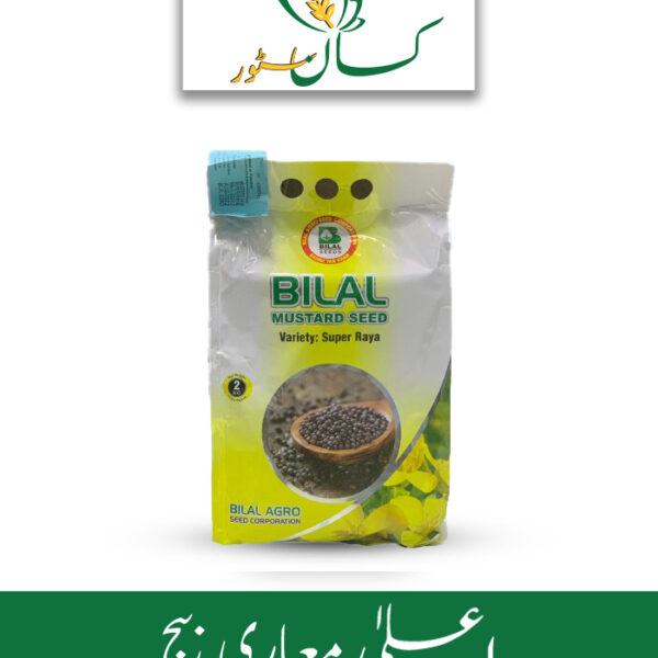 Super Raya Seed Mustard Seed Op Bilal Agro Seed Price in Pakistan