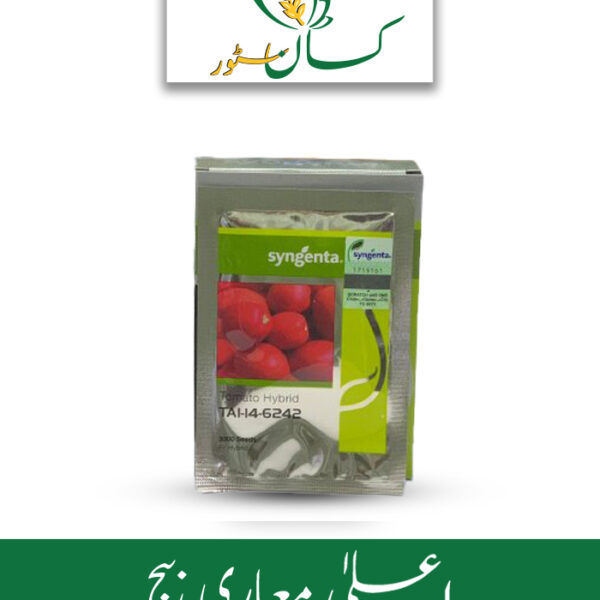 Tai-14-6242 Tomato Hybrid F1 Syngenta Seed Price in Pakistan
