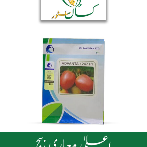 Tomato Advanta 1247 F1 Hybrid Seed ICI Pakistan Price in Pakistan