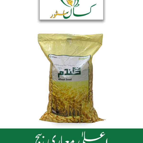 V 2 Wheat Seed Evyol Group Price in Pakistan