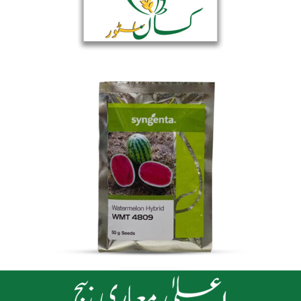 WMT 4809 F1 Hybrid Watermelon Syngenta Seed Price in Pakistan