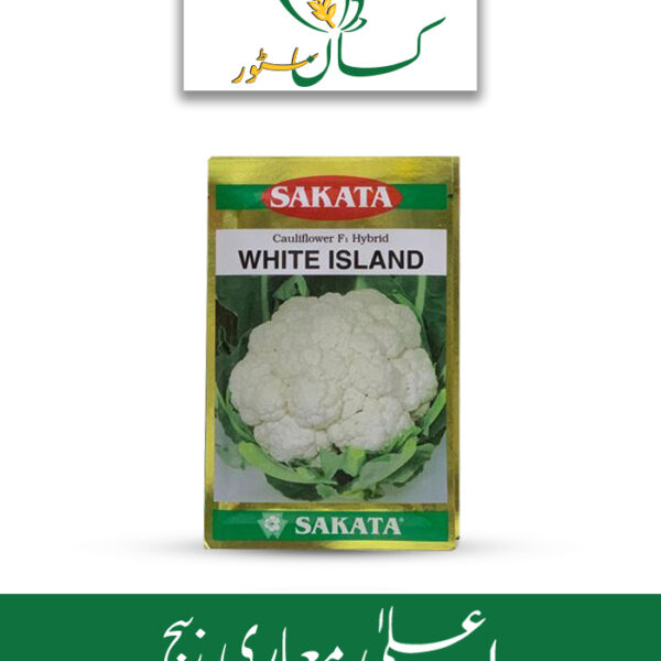 White Island Hybrid F1 Cauliflower Sakata Seed Price in Pakistan
