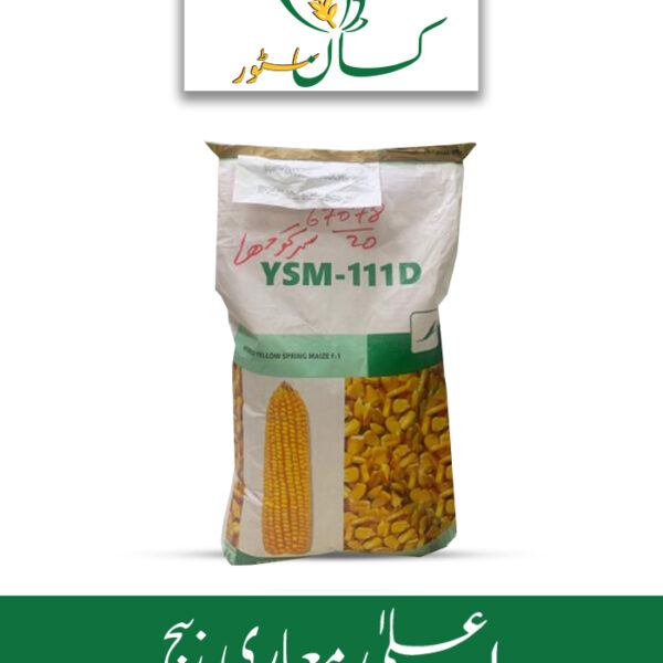 YSM 111d 10kg Hybrid Corn Seed Price in Pakistan