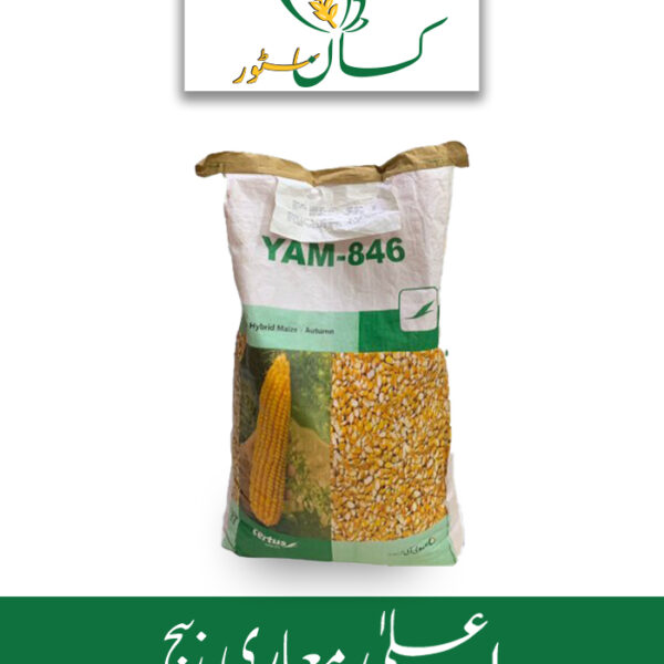 Yam 846 Hybrid Corn Seed Evyol Group Price in Pakistan