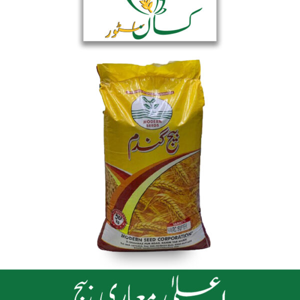 Akbar 19 Wheat Seed Modern Seed Corporation Price in Pakistan
