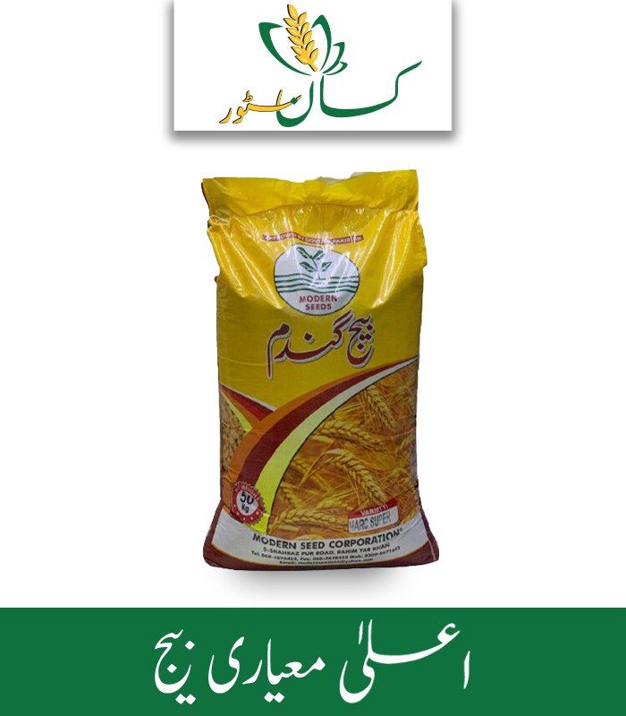 Akbar 19 Wheat Seed Modern Seed Corporation Price in Pakistan