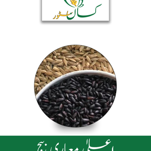 Black Rice Paddy Seed Global Products Price in Pakistan